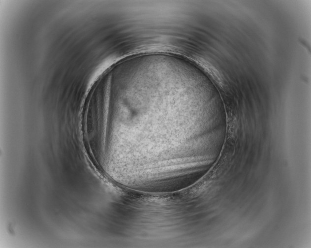 X0000096941086200802151209