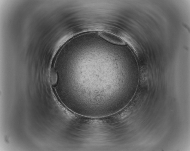 X0000096941088200802151209
