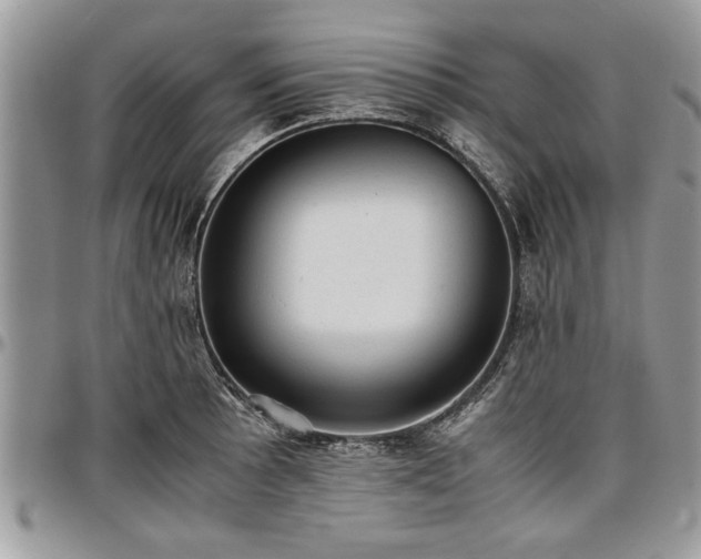 X0000096941089200802151209