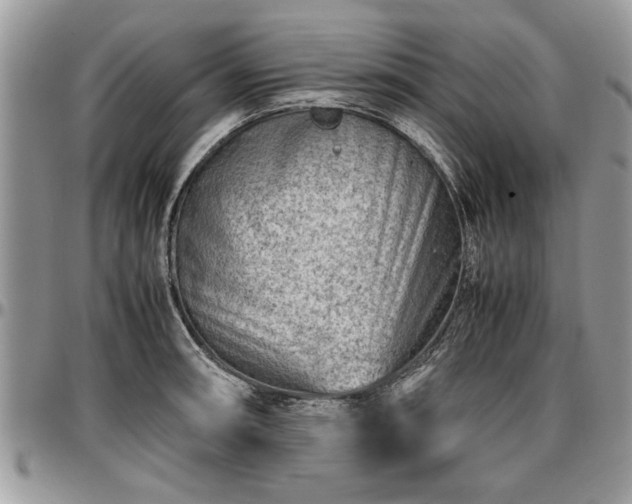 X0000096941090200802151209