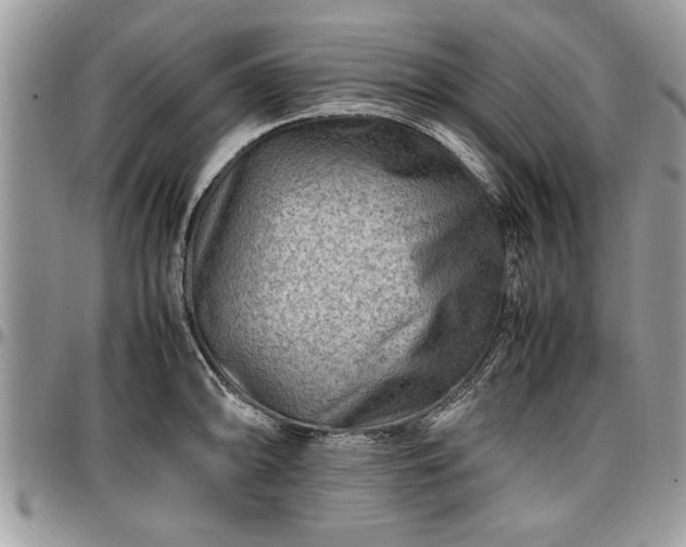X0000096941094200802151209