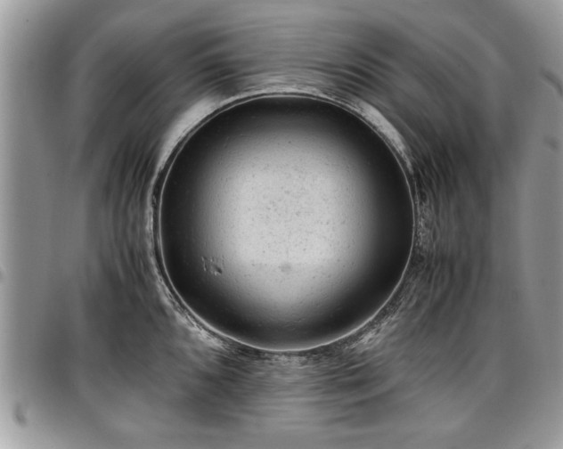 X0000096941096200802151209
