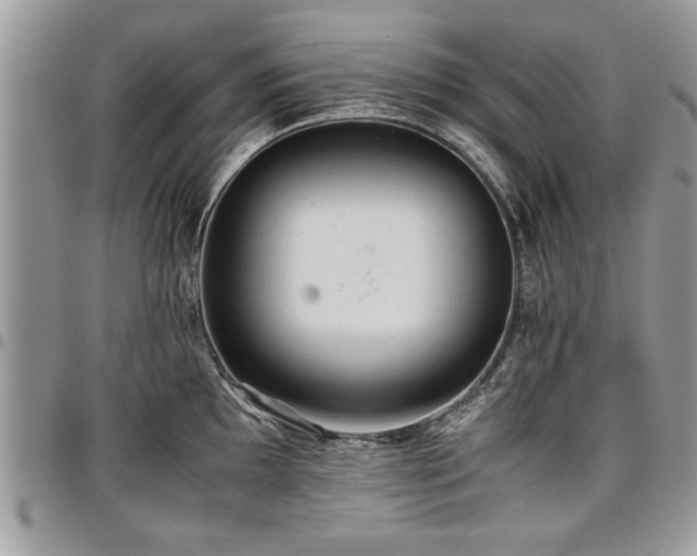 X0000096941097200802151209
