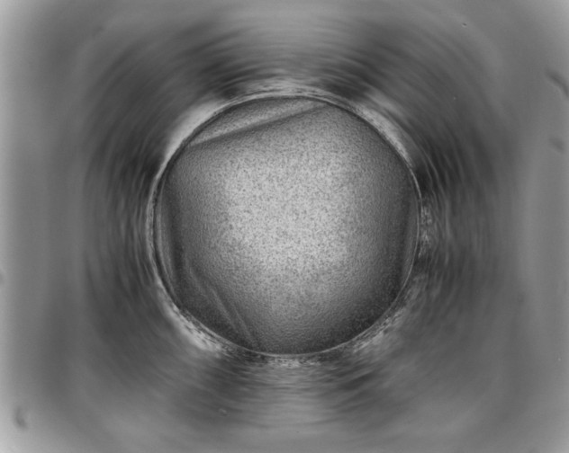 X0000096941098200802151209