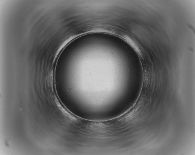 X0000096941100200802151209