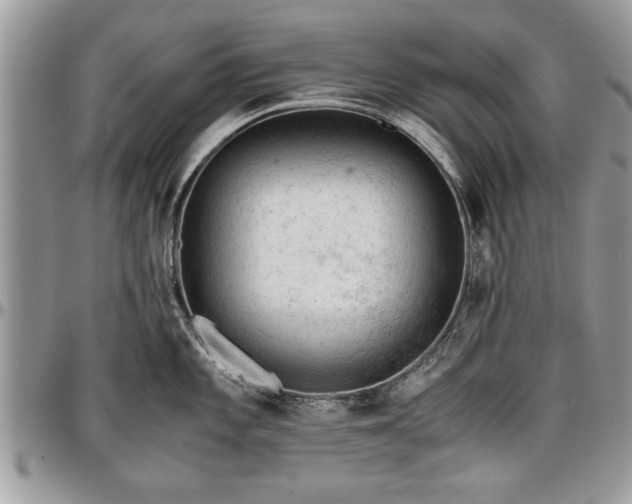 X0000096941101200802151209