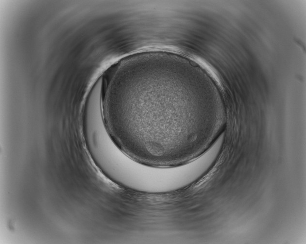 X0000096941102200802151209