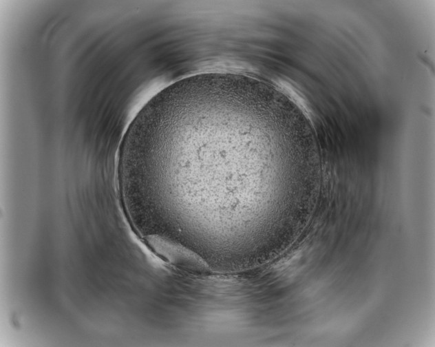 X0000096941103200802151209