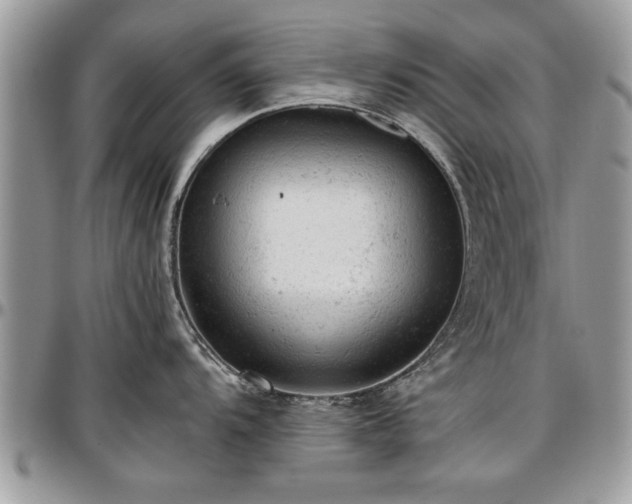X0000096941104200802151209