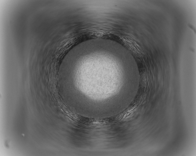 X0000096941105200802151208