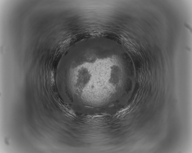 X0000096941106200802151208