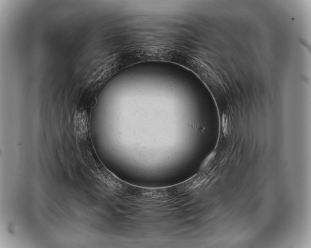 X0000096941107200802151208