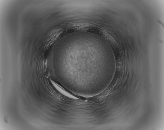X0000096941108200802151208