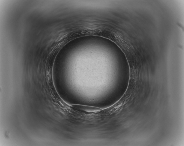 X0000096941109200802151208