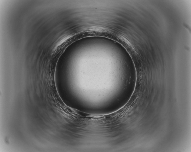 X0000096941112200802151208