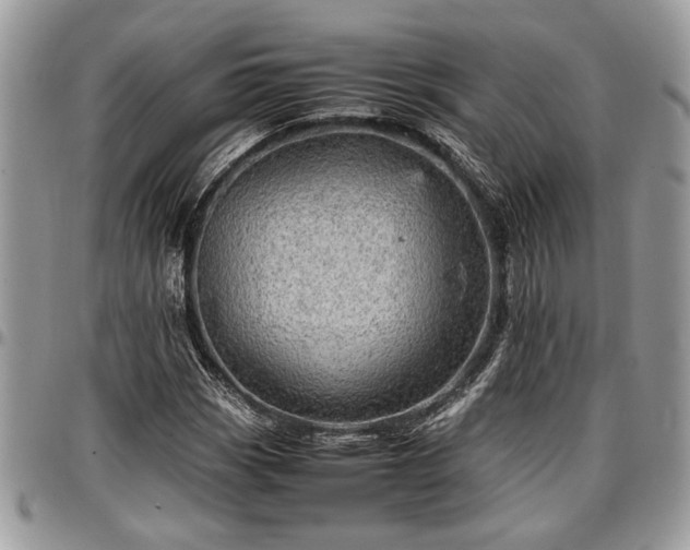 X0000096941113200802151208