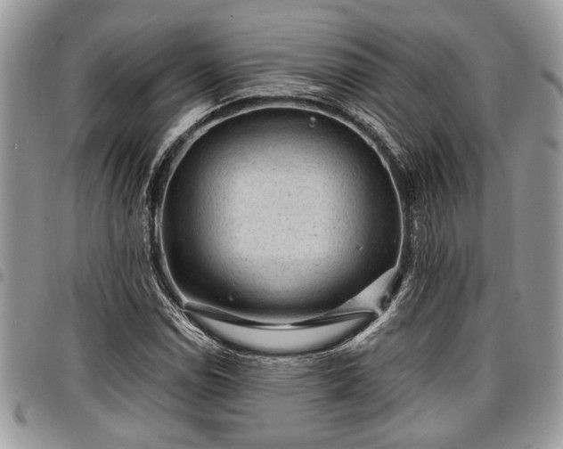 X0000096941114200802151208