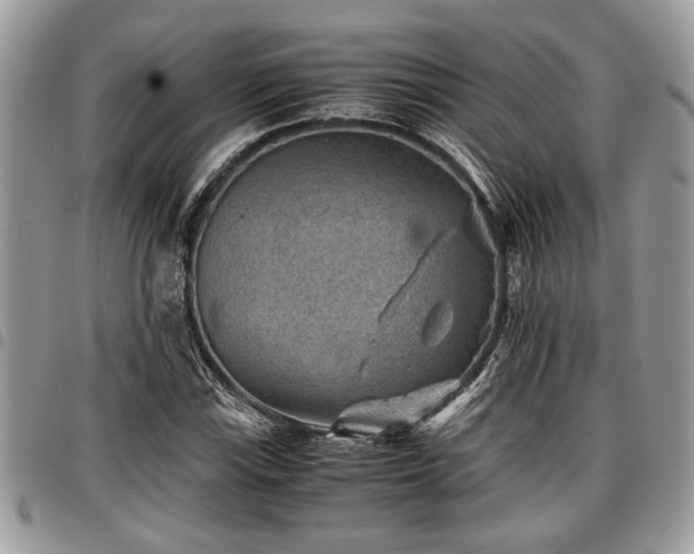 X0000096941115200802151208