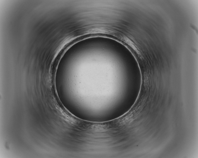 X0000096941116200802151208