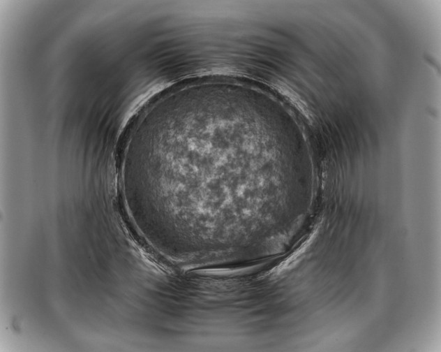 X0000096941117200802151209