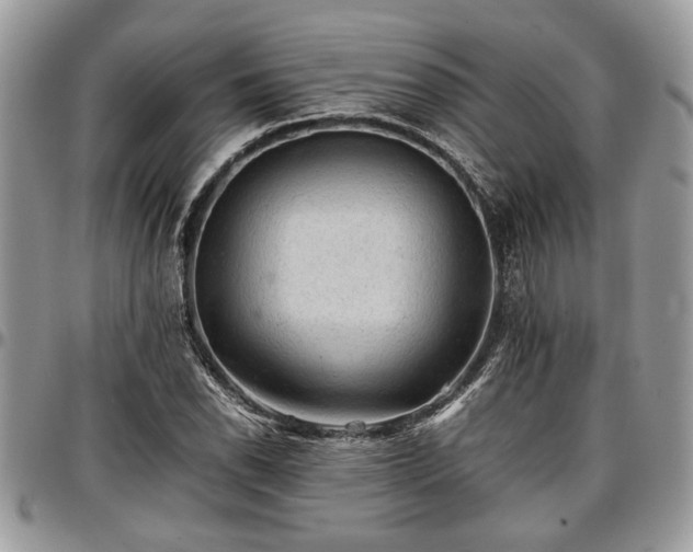 X0000096941118200802151209