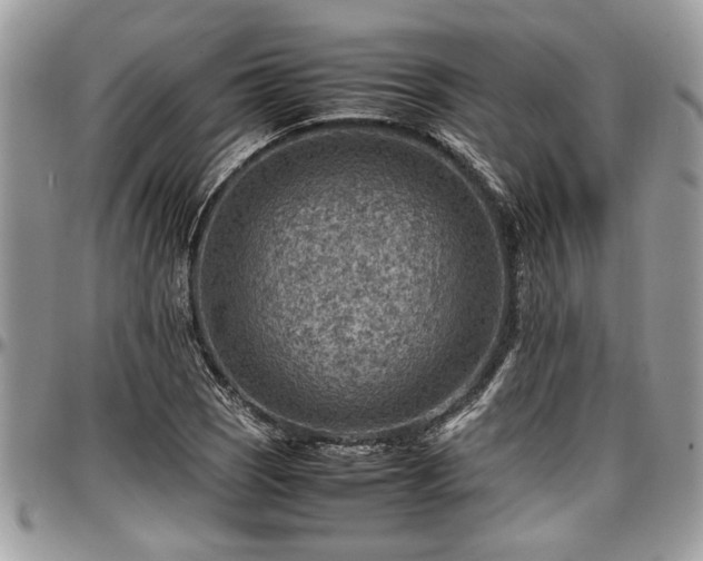 X0000096941121200802151209