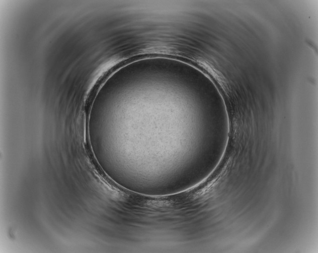 X0000096941123200802151209