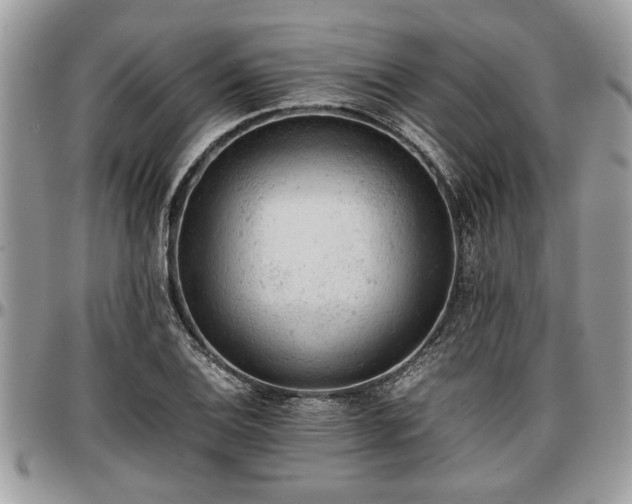 X0000096941124200802151209