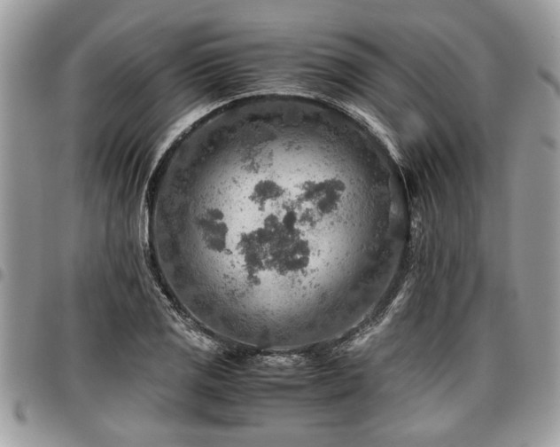 X0000096941125200802151209