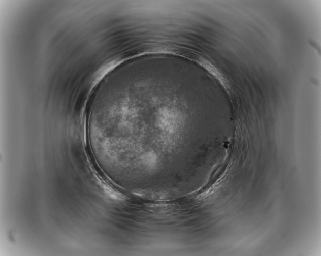 X0000096941127200802151209