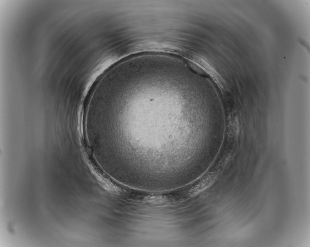 X0000096941128200802151209