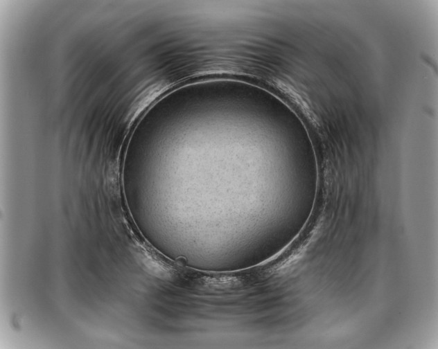 X0000096941129200802151209