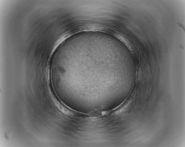 X0000096941130200802151209