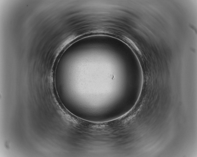 X0000096941133200802151209