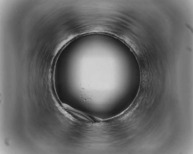 X0000096941134200802151209