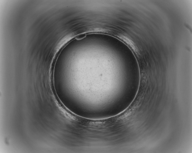 X0000096941135200802151209
