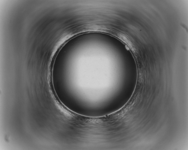 X0000096941136200802151209