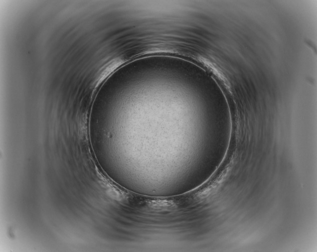 X0000096941137200802151209