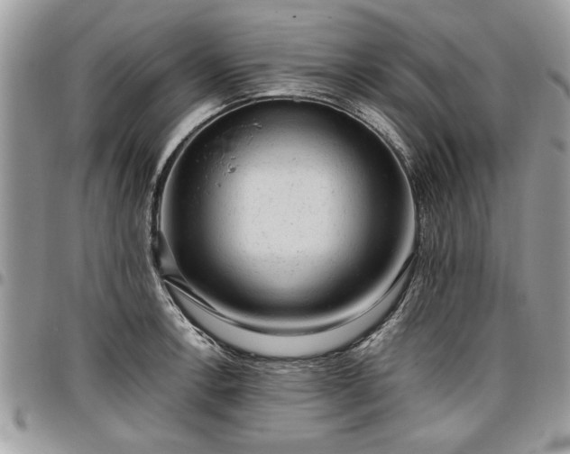 X0000096941138200802151209