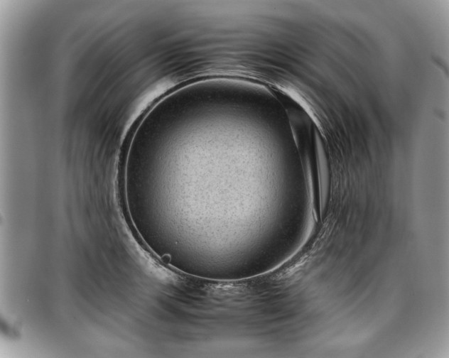 X0000096941139200802151209