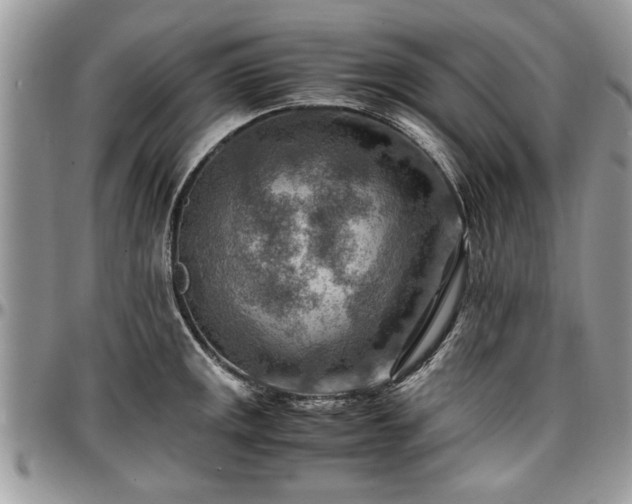 X0000096941141200802151209