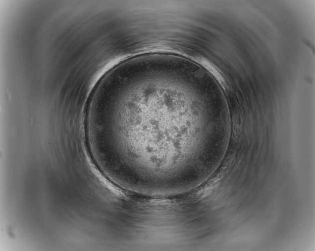 X0000096941142200802151209