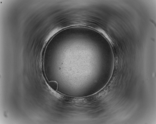 X0000096941143200802151209