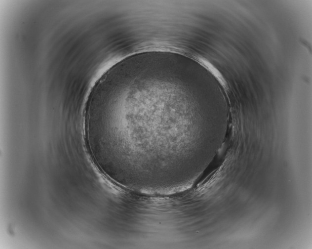 X0000096941144200802151209