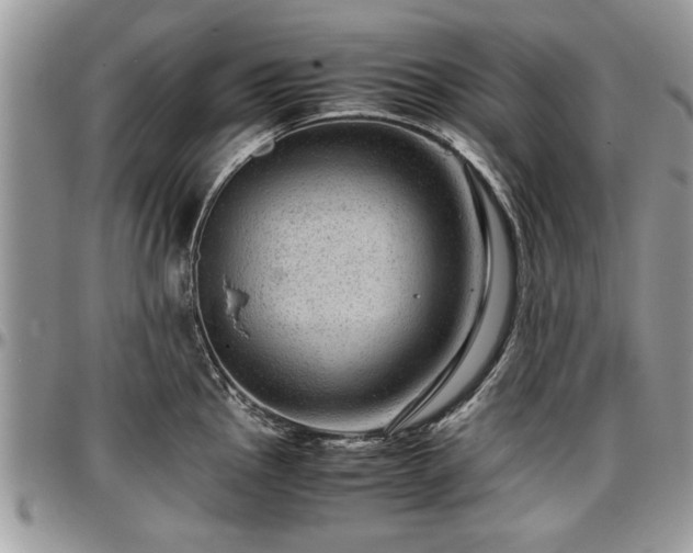 X0000096941145200802151209