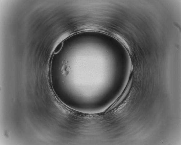 X0000096941146200802151209
