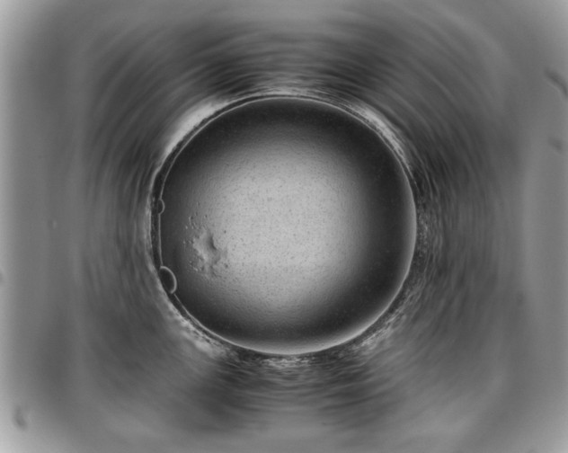X0000096941147200802151209