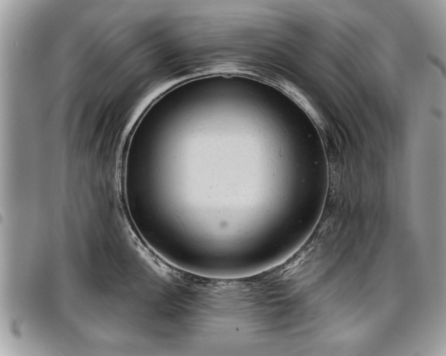 X0000096941148200802151209