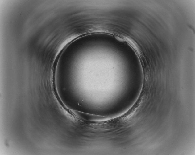 X0000096941149200802151209