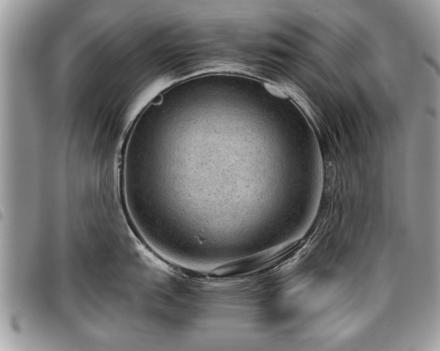 X0000096941151200802151209